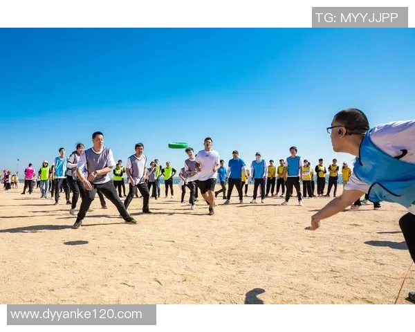武汉飞盘队的奋斗与荣耀：一段激情四溢的飞盘纪实之旅